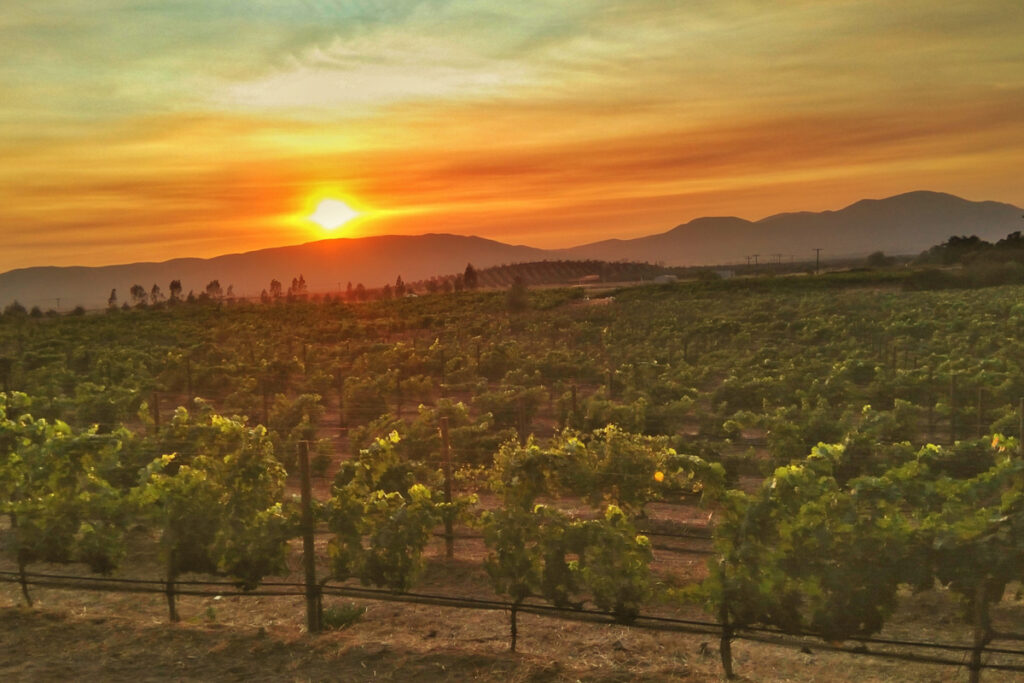 tours al valle de guadalupe de tijuana